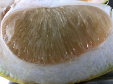 Load image into Gallery viewer, Pomelos/yellow
