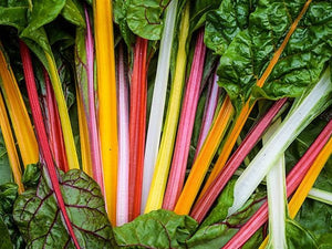 Chard/rainbow