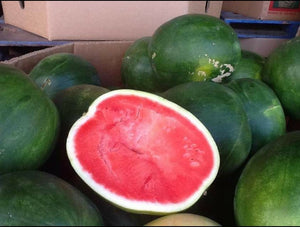 WS Watermelon/seedless