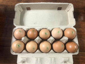 WS Eggs/free range